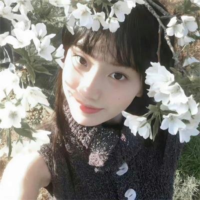 米奇17号